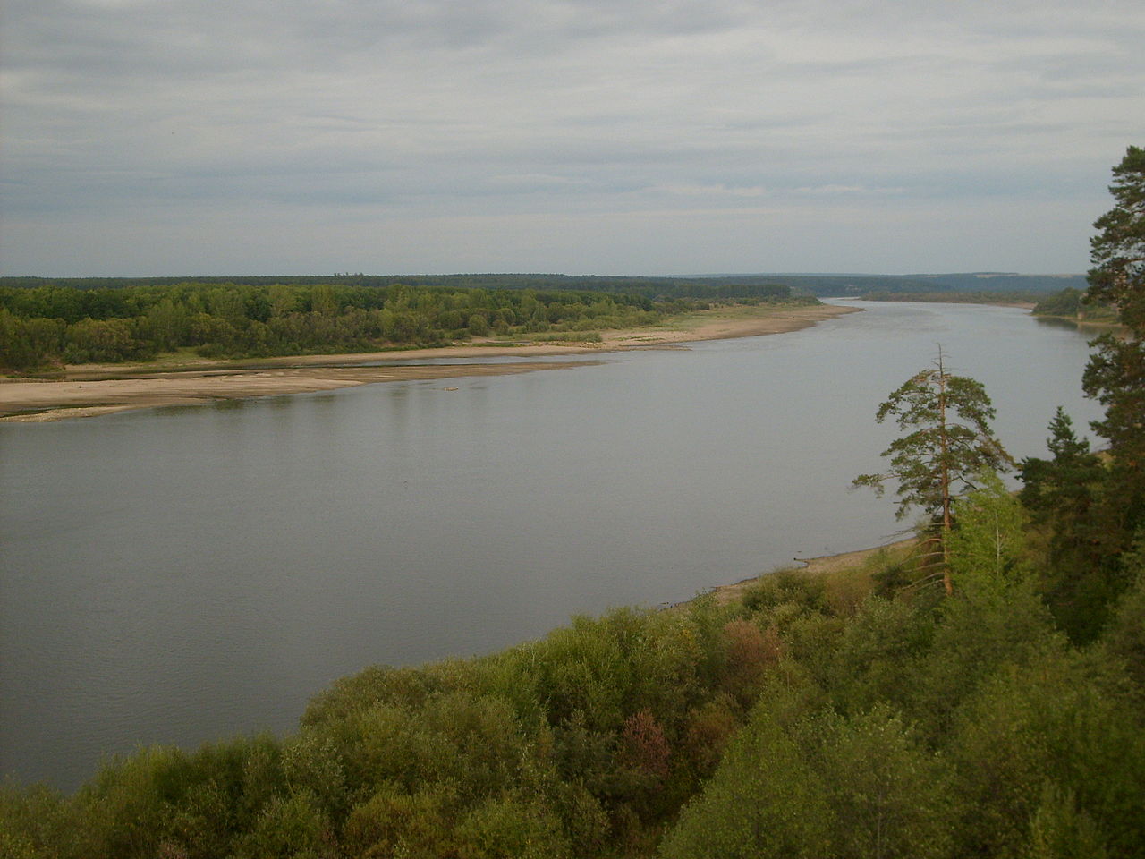 Река Вятка в районе г. Советска, август 2010 года.